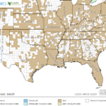 Arrowhead Locations in Southeast US