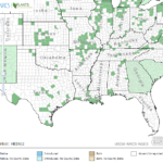 Waterstargrass Locations in Southeast US