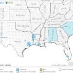 Giant Salvinia Locations in Southeast US