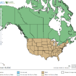 Spikerush Locations in North America
