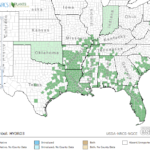 Waterleaf Locations in Southeast US