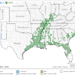 Aquatic Milkweed Locations in Southeast US