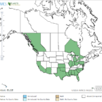 Canada's Spikerush Locations in North America