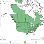 Longroot Smartweed Locations in North America