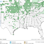 Longroot Smartweed Locations in Southeast US