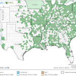 Marsh Seedbox Locations in Southeast US