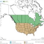 Milkweed Locations in North America