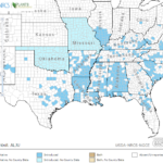 Silk Tree Locations in Southeast US