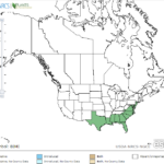 Smallfruit Beggartick Locations in North America
