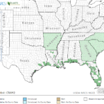 Swamp Lily Locations in Southeast US
