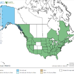 Waterpepper Smartweed Locations in North America