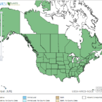 Poverty Rush Locations in North America