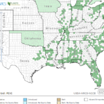 Green Arrow Arum Locations in Southeast US