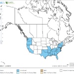 Large Flower Primrose Locations in North America