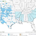 Salt Cedar Locations in Southeast US