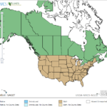 Arrowhead Locations in North America