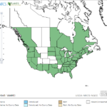 Eelgrass Location in North America