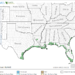 Widgeon Grass Location in Southeast US
