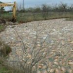 stream filled with fish killed by golden algae