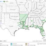 Southern Watergrass Locations in Southeast US