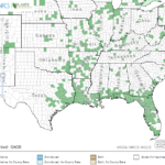 Grassy Arrowhead Locations in Southeast US
