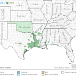 Nipplebract Arrowhead Locations in Southeast US