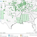 Shortbeak Arrowhead Locations in Southeast US