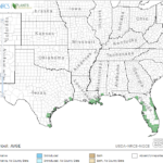 Black Mangrove Locations in Southeast US