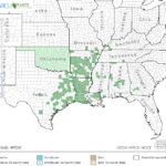 Blue Waterleaf Locations in Southeast US