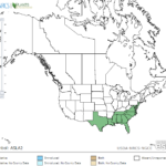Few Flowered Milkweed Locations in North America