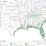 Few Flowered Milkweed Locations in Southeast US