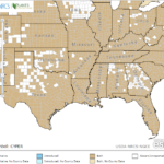 Flat Sedge Locations in Southeast US