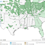 Swamp Milkweed Locations in Southeast US