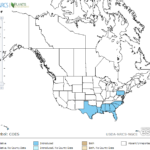 Water Taro Locations in North America