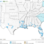 Water Taro Locations in Southeast US