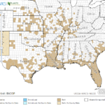 Waterhyssop Locations in Southeast US