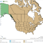Common Rush Locations in North America