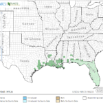 Gulf Swampweed Locations in Southeast US