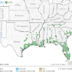 Southern Cutgrass Locations in Southeast US