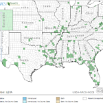 Small Duckweed Locations in Southeast US