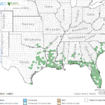 Waterspider Orchid Locations in Southeast US