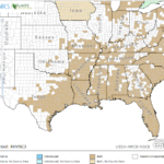 Beaksedge Locations in Southeast US