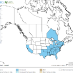 Brittle Waternymph Locations in North America