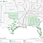 Egyptian Panic Grass Locations in Southeast US
