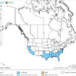 Rattlebox Locations in North America