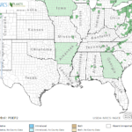 Ribbonleaf Pondweed Locations in Southeast US