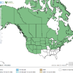 Variable-Leaf Pondweed Locations in North America