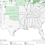 Variable-Leaf Pondweed Locations in Southeast US