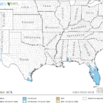 Brazilian Pepper Tree Locations in Southeast US