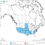 Salt Cedar Locations in North America